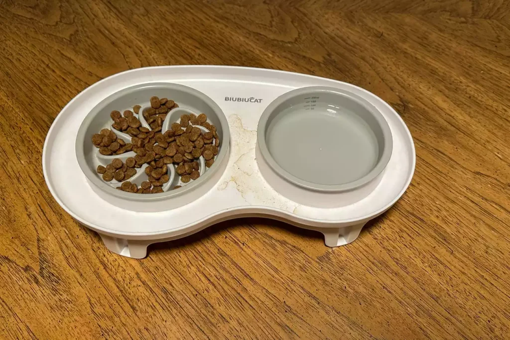 sps pet bowls test biubiucat elevated slow feeder juliet muir 10 9bdb247579a7498c9ae5c9688bc37722