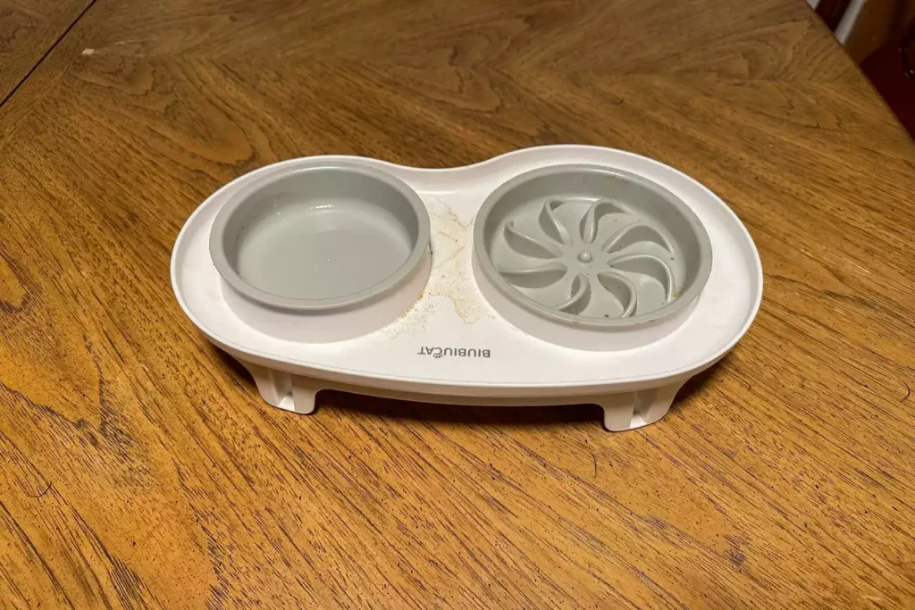 sps pet bowls test biubiucat elevated slow feeder juliet muir 6 f00318b8840446138bbc214b80e9b491