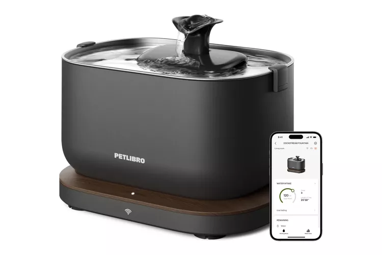 PetLibro Dockstream App Monitoring Water Fountain dfb8689533a94ee4946faee14e9b61f1