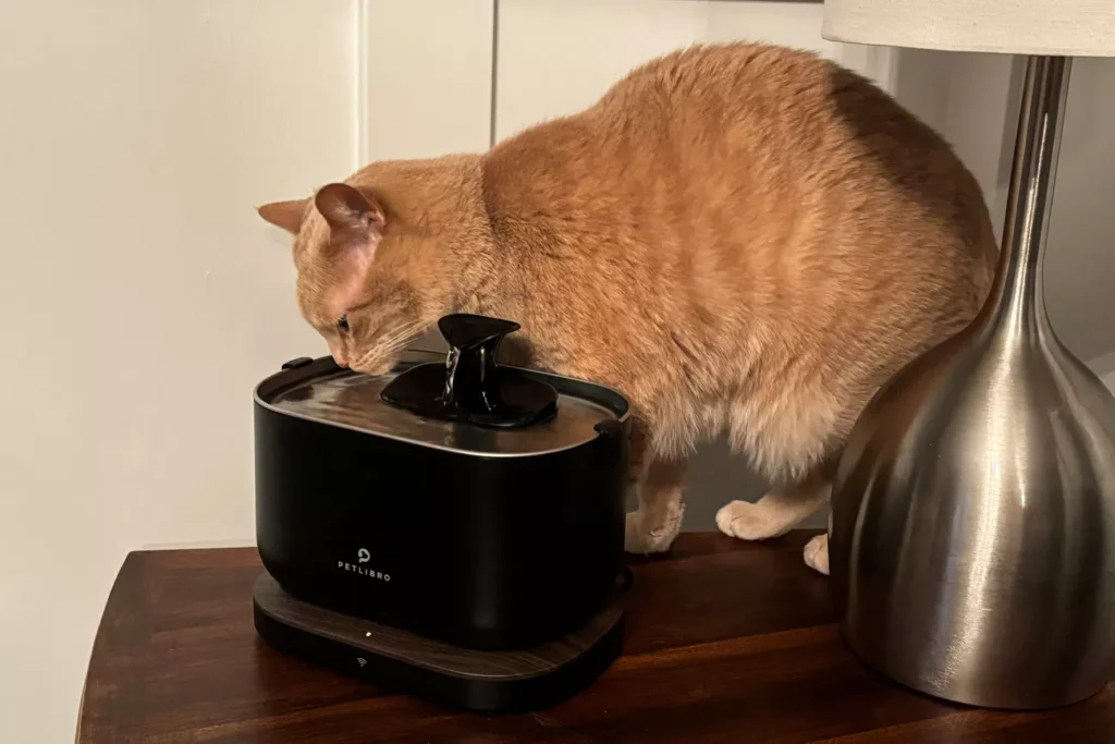 sps petlibro docstream app monitoring water fountain jodi espinosa 10 b85d2c6bc81a4c5eb01124e13bcaab75