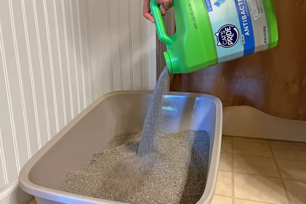 sps cat litters apr 24 test pride antibacterial scented jennifer thomson 11 crop 8e5a00ab2fd040448fb16ead7d4f6380