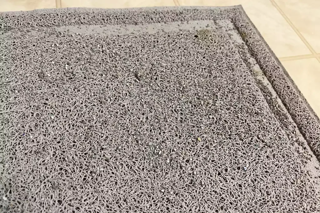 sps cat litters apr 24 test pride antibacterial scented jennifer thomson 25 crop 594dd0bf3cfc46149a57ec2b89385f4f