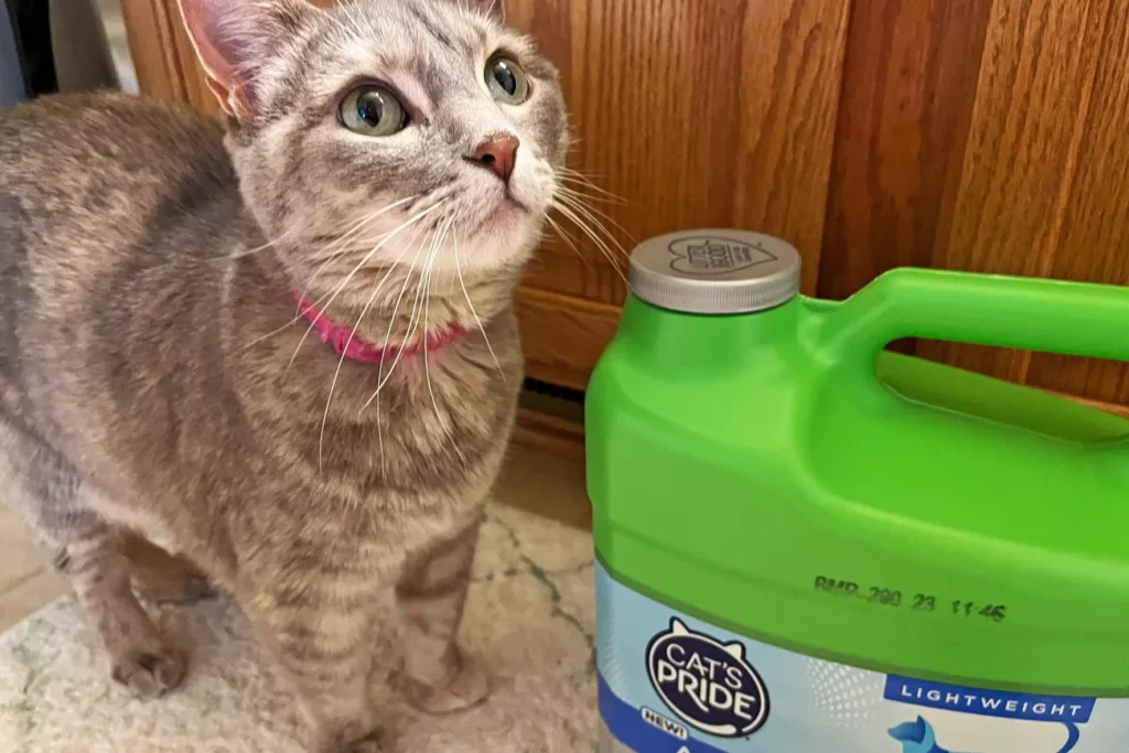 sps cat litters apr 24 test pride antibacterial scented jennifer thomson 4 crop 73f5bb0dbbc343e0a0b15a23c5a6fadf